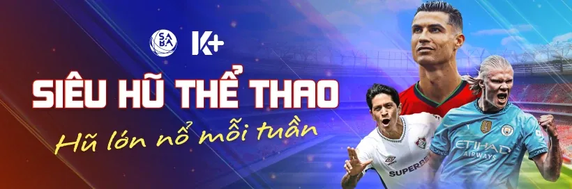 Biểu tượng bóng đá với quả bóng và sân cỏ xanh mướt, thể hiện sự đa dạng của cá cược bóng đá tại betvnd9 chính thức